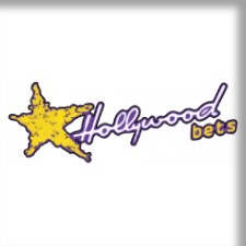 hollywoodbets cassino logotipo
